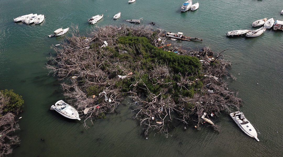 Removal of All Derelict Boats