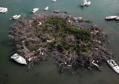 Removal of All Derelict Boats